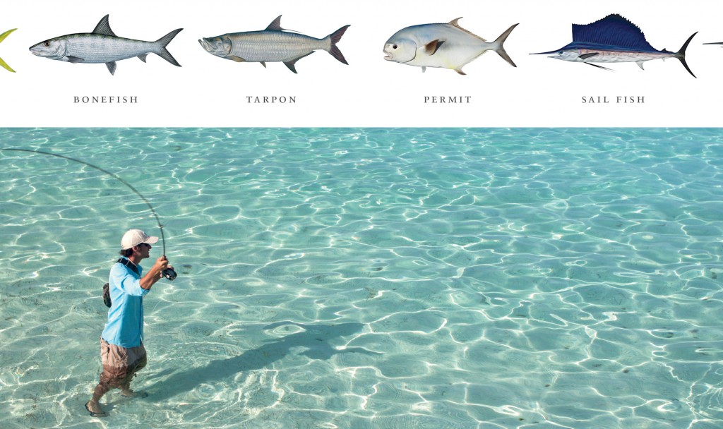 Ocean fly fishing Clearance