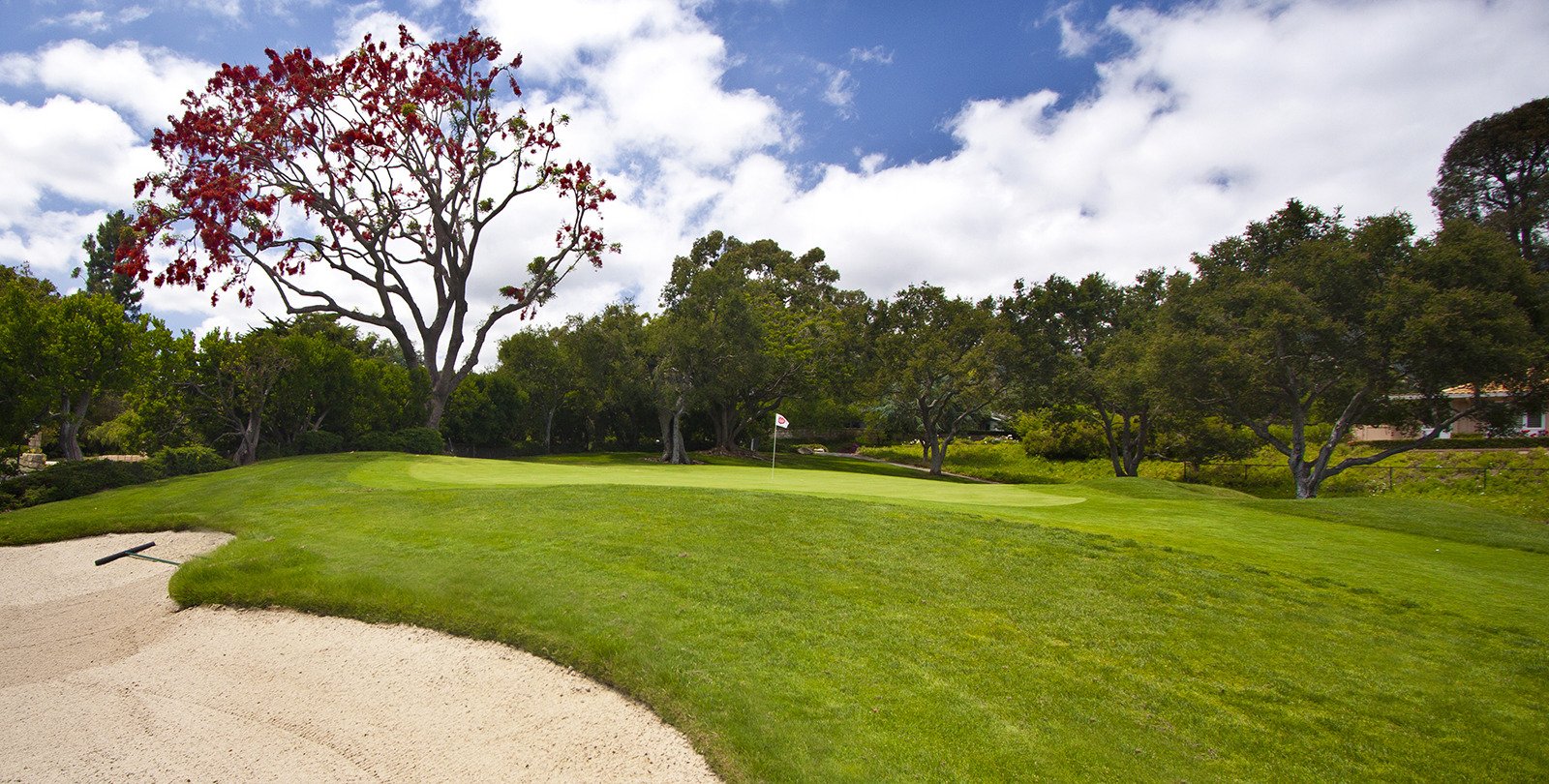 Birnam Wood Golf Club • Kingdom Magazine