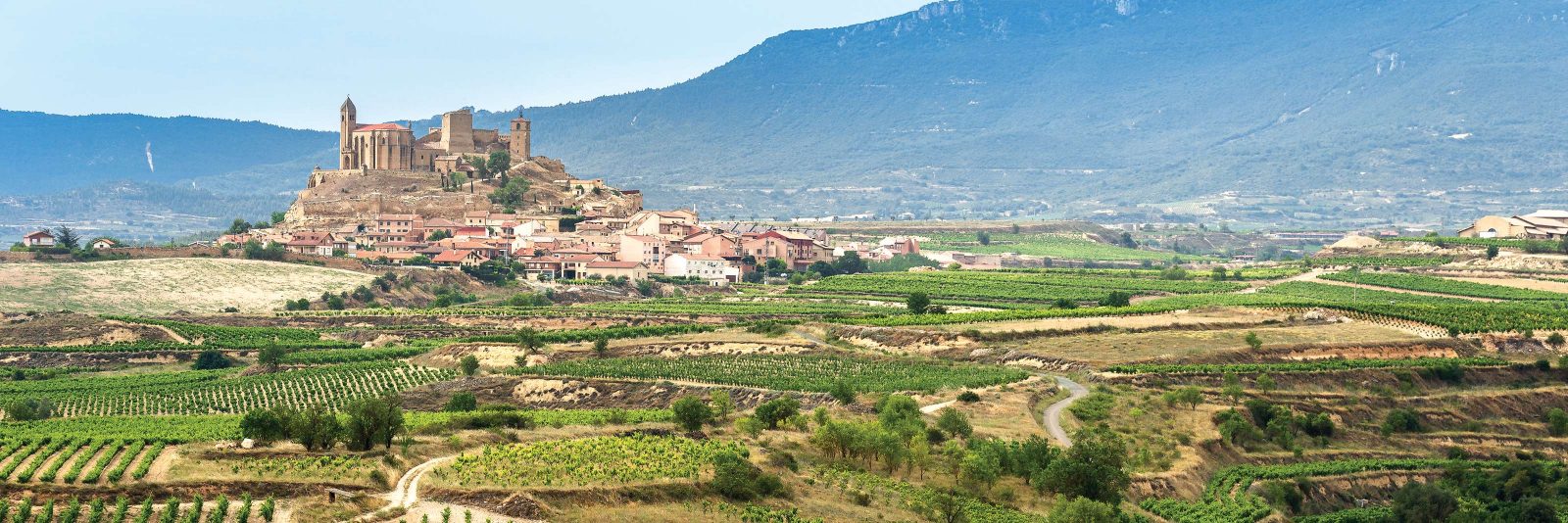 rioja-a-tour-of-spain-s-iconic-vineyards-kingdom-magazine