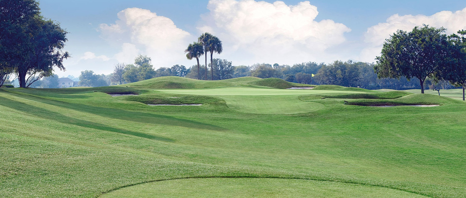 Bay Hill 7th hole by Patrick Drickey