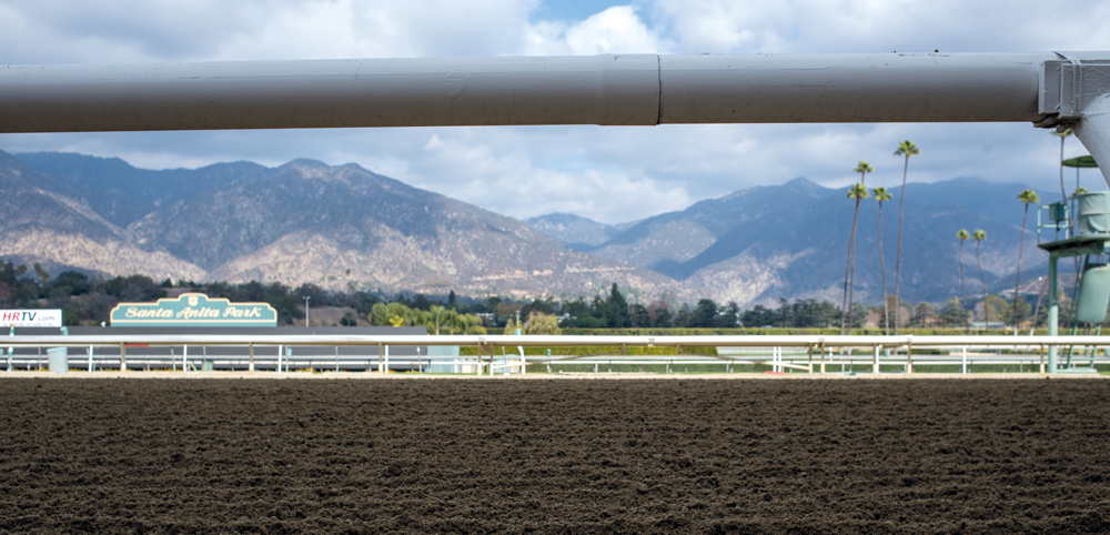 Horse Racing