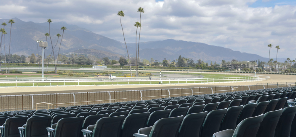 Horse Racing